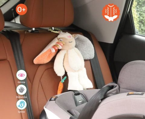 been My Vibrating Travel Friend Rabbit / Titreşimli Yol Arkadaşım Tavşan