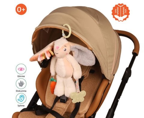 been My Vibrating Travel Friend Rabbit / Titreşimli Yol Arkadaşım Tavşan