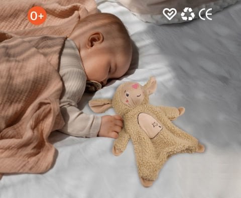 been My Sleeping Friend Lamb / Uyku Arkadaşım Kuzucuk