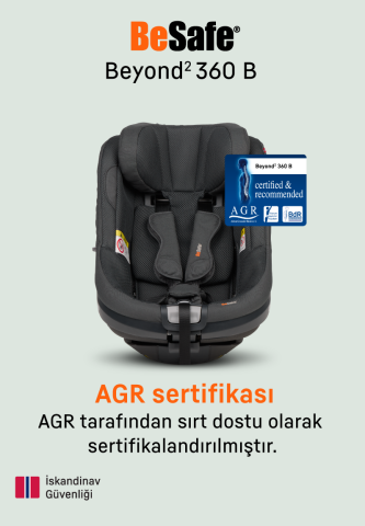 BeSafe Beyond 360 B
